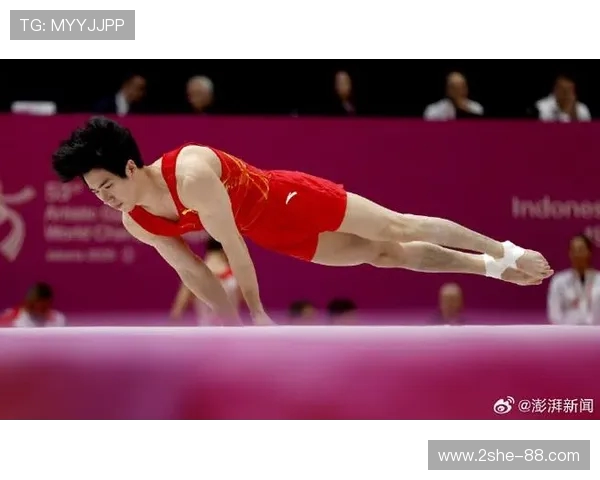 张博恒三战世锦赛：带伤扛旗，剑指雅加达全能之巅